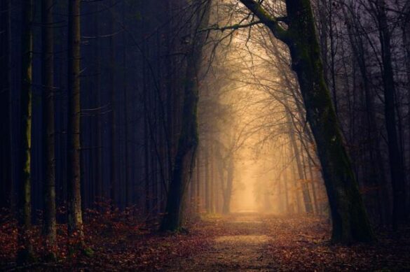 Kasia-PerzanowskaPolski-psycholog-UK–terapia (1) Pomoc psychologiczna Perzanowska