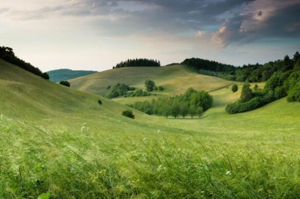 Psycholog-online-w-UK (2) Psychoterapia online Perzanowska